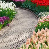 A stone brick pathway with spring bulbs show the garden tasks to be done in March.