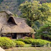A thatch-roofed house with plants selected to thrive in that climate.