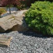 Slate mulch, perfect for acid-loving plants and shrubs