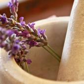 Stone mortar and pestle with sprigs of lavender in it, ready for crushing to treat asthma