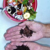 Kitchen waste converted to compost in an appartment composter