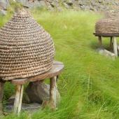 Straw wicker hive on stones