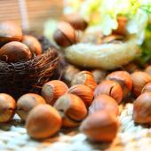 Hazelnuts cracked open displayed to show their health benefits.