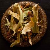 The lime tree, basswood, or linden leaves and flowers are dried
