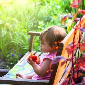 Easy-growing tomatoes is child's play, like this toddler savoring a tomato on a bench.