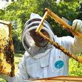 Beekeeper hive garden