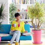 Lady sitting on sofa surrounded with easy indoor care plants, in this case dracaena plants