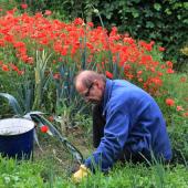 Pulling weeds out manually is one way to remove weeds naturally, without any chemicals