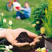 Soil mix