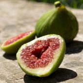A ripe green fig sliced open on a wooden outdoor table.