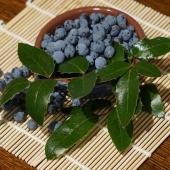 Bowl of Mahonia berries with leaves on wicker mat.