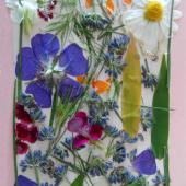 Herbarium cover with flowers