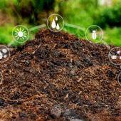 Uses of compost