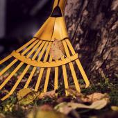 Garden tasks for november