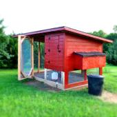 Chicken coop