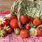 Health benefits of strawberry