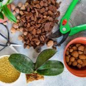 Orchid soil mix