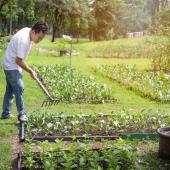 What is organic gardening exactly?