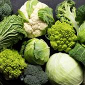 Cabbage