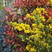 Mixed hedge, what is it