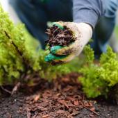 Plant mulch