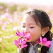 Fragrant garden flowers