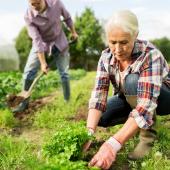 Natural weeding techniques