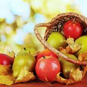 Garden tasks for september